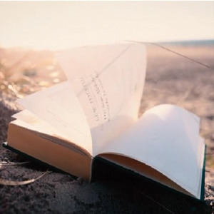 月光のささやき