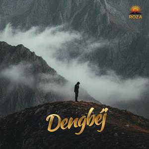 Delil (Dengé Welat 2026)