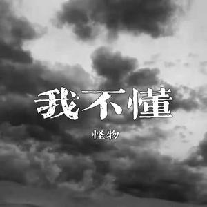 我不懂(Prod By Problemboi)