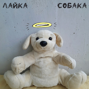Собака