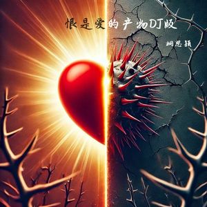 恨是爱的产物DJ版