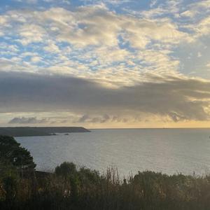 Polytechnic (SkyRiser)