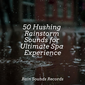 Whispers of the Misty Grove