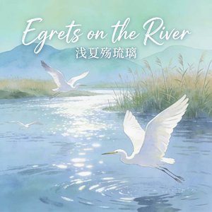 Egrets on the River