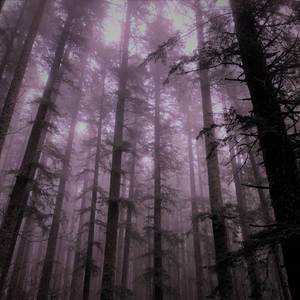 Undergrove