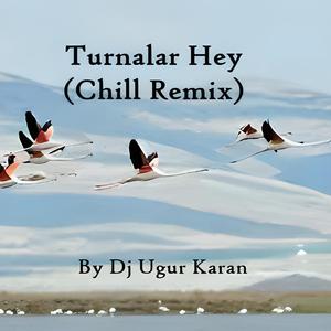 Turnalar Hey (Chill Mix)