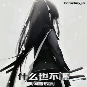 什么也不懂（纯音乐版）