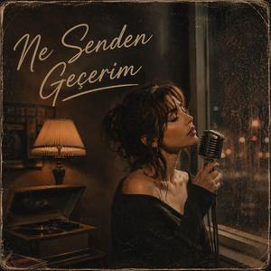 Ne Senden Geçerim