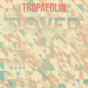 Gillian Hollingsworth