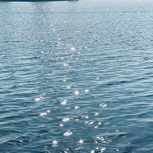 海