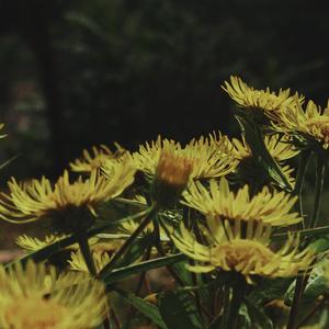 “WHY”【free】drake melody type beat