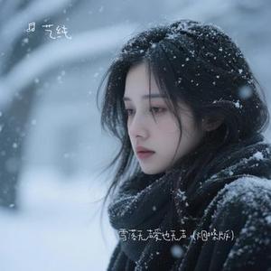 雪落无声爱也无声