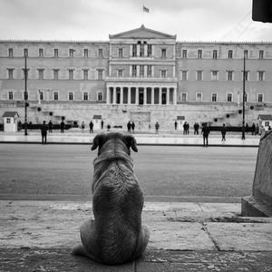 Όμοιροι