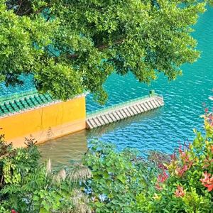 岁岁安暖（轻音乐）