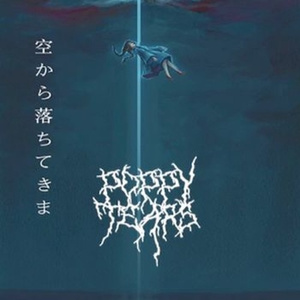 Falling From The Sky (prod. 1800entity)