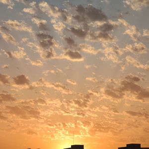 春林间散步的小透明