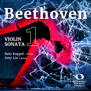 Violin Sonata No.1 in D Major, Op.12 No.1: 1. Allegro con brio
