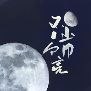 不止一个月亮