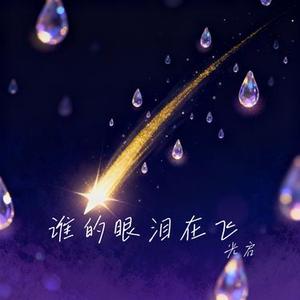 谁的眼泪在飞