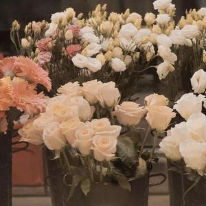 剑来（生生世世爱）