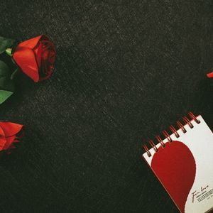 到底什么才是爱