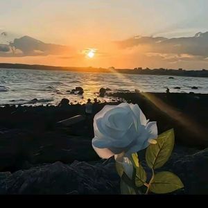 Bir Kara kahva -（黑咖啡）