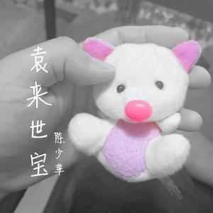 袁来世宝
