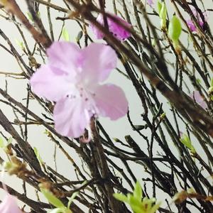 欧阳鹏oyp-她(Remix)