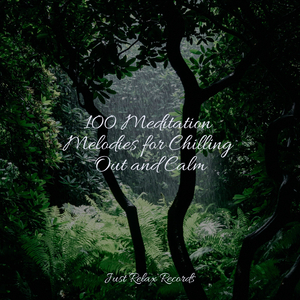 Insanity's Musical Retreat