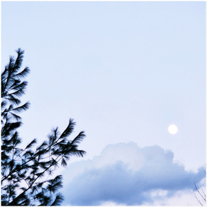 너무나 아름다운 남자와 너무나도 아름다운 여자 사이에서 낳은 남자 VER.3