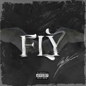 FLY