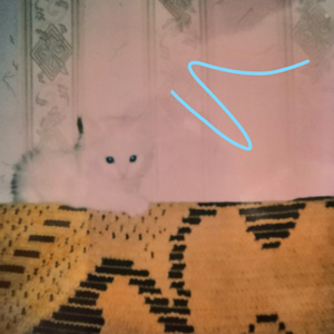 попытка в пост панк