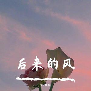 后来的风