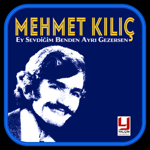 Mor Keçeyi Boyamadım