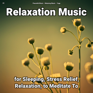 Calm Music Pt. 12