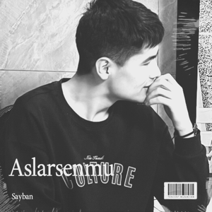 Aslarsanmu（说好不哭）