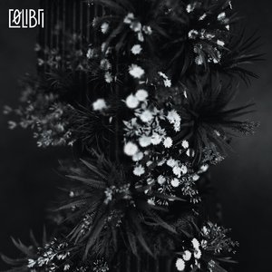 Collapses (Romane Santarelli Remix)