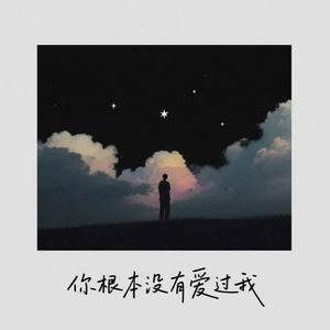 你根本没有爱过我