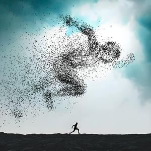 不知不觉又一年