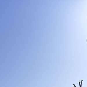 想要良好的睡眠和永不变心的恋人