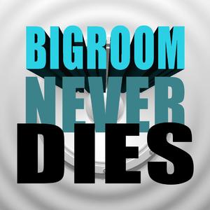 Hardwell-Bigroom Never Dies (Ashilin Bootleg)
