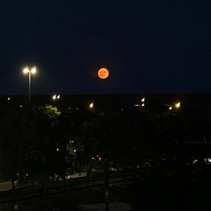 The Moon (feat. TXC & Gnxrly)