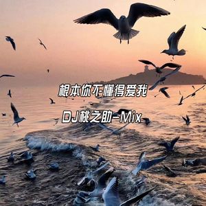 对不起，我还爱你（DJ桃之助-Remix )