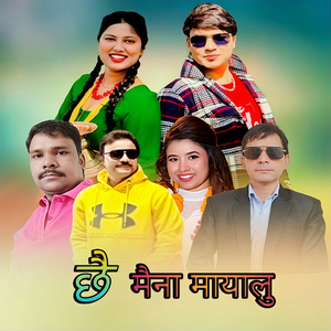 Chhai Maina Mayalu