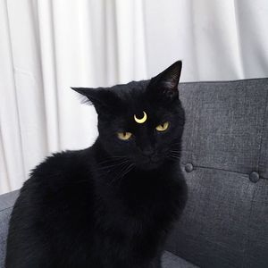 陷阱（Cover 王北车）（翻自 王北车）