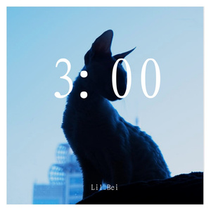 3：00（Prod by DistroKid）