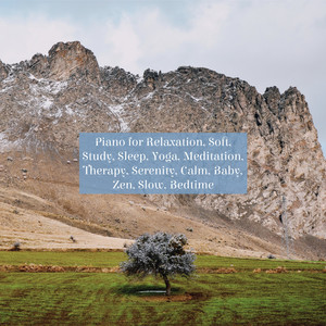 Meditar (Original Mix)