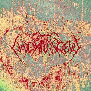 The House of the Rising Sun (Diplo Remix)