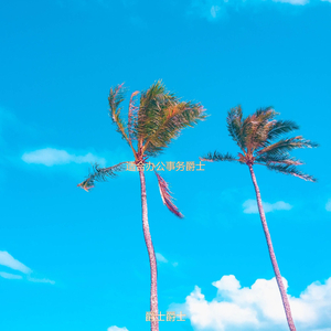 适合办公事务爵士