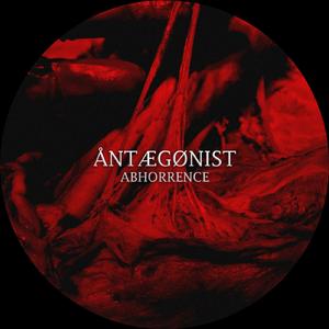 Absorption (Drumm Tool Mix)